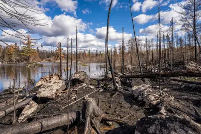 Minnesota has 3 ‘major’ wildfires. Here’s how they compare historically