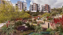 CityScape: Schmidt Design Group’s ‘sustainable and artful’ landscapes